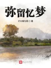 记忆弥梦离