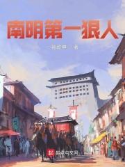 南明第一狠人 一袖乾坤