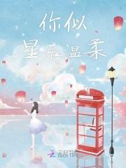 你似星辰伴月光免费阅读