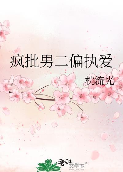 疯批男二偏执爱枕流光番外