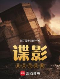 谍影命令与征服在线阅读免费完整版