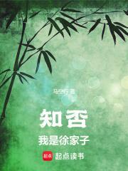 知否我是徐家子精校版