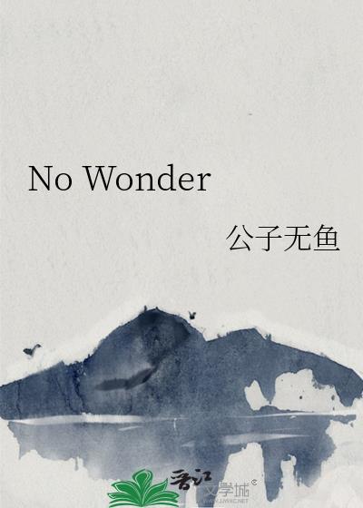 nowonder意思