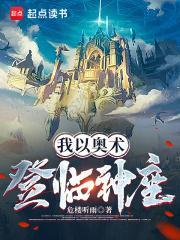 我以奥术登临神座起点