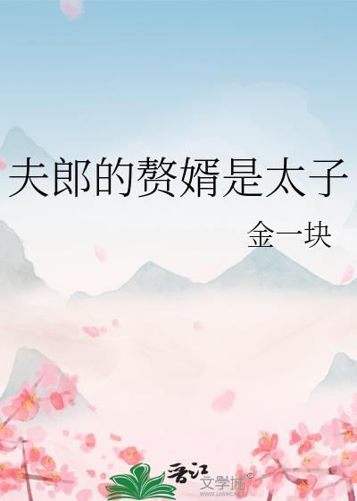 夫郎的赘婿是太子23