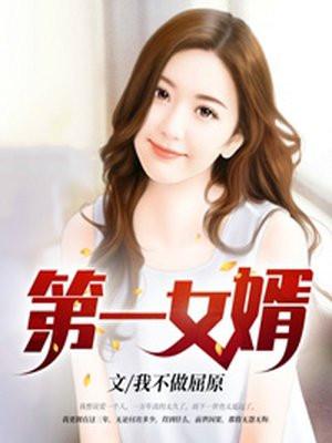第一女婿全书免费阅读