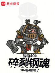 战锤40k碎裂钢魂无错