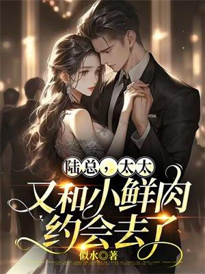 陆太太又闹离婚l
