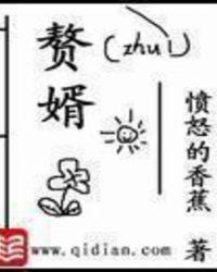 赘婿演员表