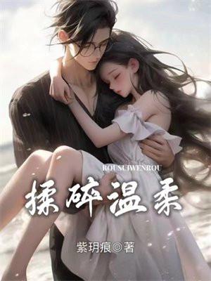 揉碎温柔薄妄TXT