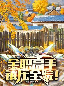 四合院整蛊