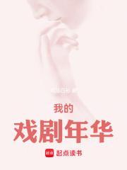 我的戏剧年华txt无错版