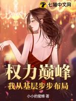 权力巅峰我从基层步步布局