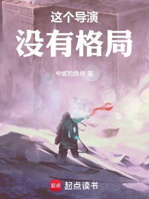 这个导演没有格局精校版