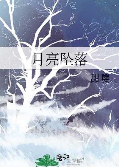 月亮坠落一万次免费阅读全文