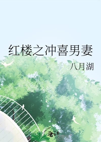 红楼之冲喜男妻免费阅读
