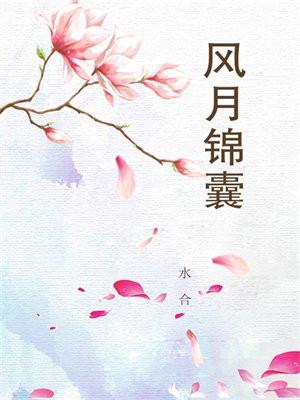 风月锦囊水合
