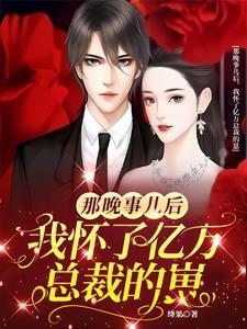 那晚事儿后我怀了亿万总裁的崽 那晚事儿后我怀了亿万总裁的崽