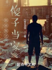 四合院之傻子当家TXT电子书