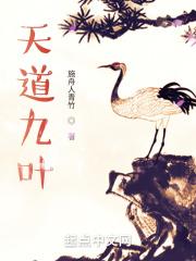 天道 叶的结局 天道 叶的结局