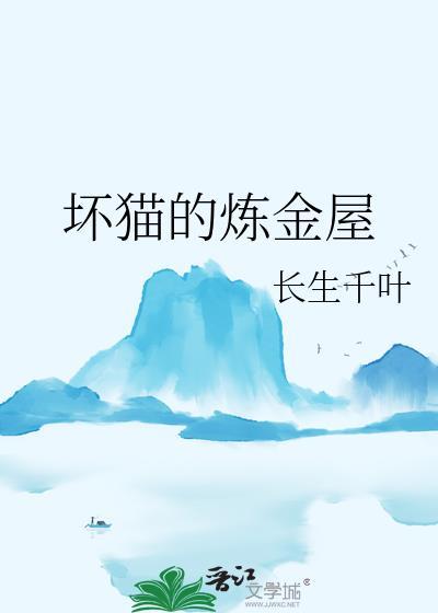 坏坏猫探索