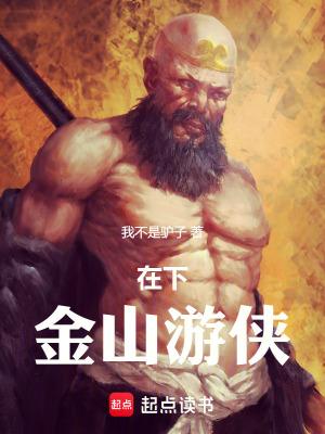 在下金山游侠笔趣阁