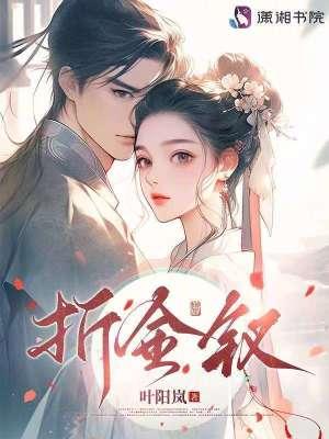 折金钗叶阳岚txt