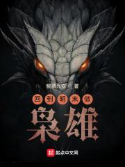 回到明末做枭雄txt链接