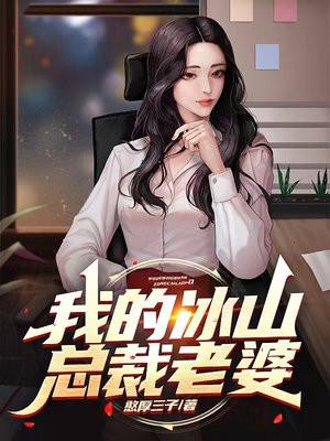 我的冰山总裁老婆完整版