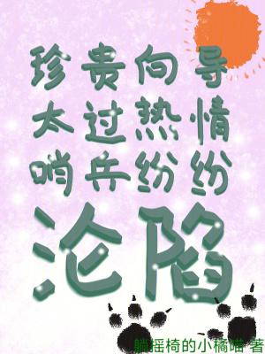 向导哨兵h文向导五级