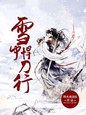 雪中悍刀行境界