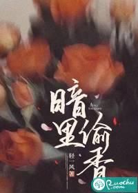 暗里偷香by轻一风免费阅读