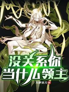 没关系你当什么领主