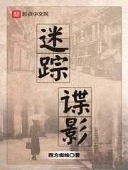 迷踪谍影完整版免费 迷踪谍影完整版免费