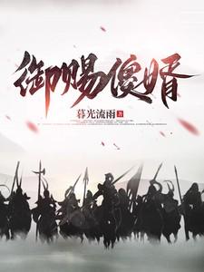 御赐傻婿燕南飞免费阅读