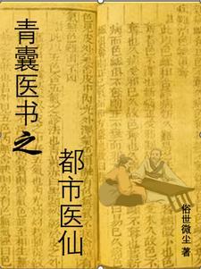 青囊医书之都市医仙全文阅读