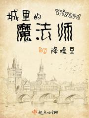 城里的魔法师剧透 城里的魔法师剧透