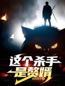 这个杀手是赘婿江浩全文阅读