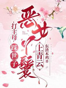 恶女丫鬟上青云全文