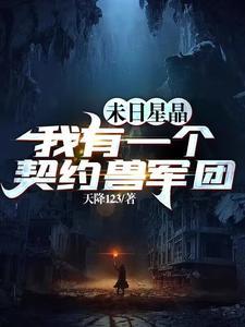 末日星晶我有一个契约兽军团在线听书