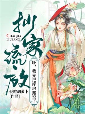 有抄家流放情节的