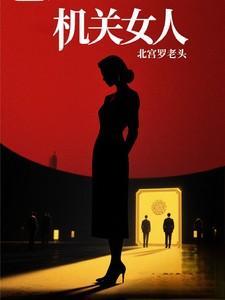 机关女人改编电视剧
