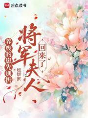 将军夫人养儿记事免费阅读