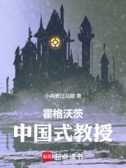 霍格沃茨中国式教授全文免费阅读