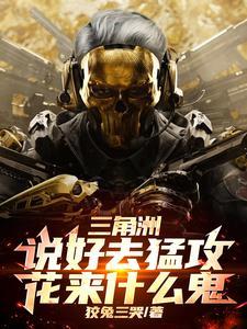 三角洲是什么意思?