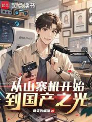 国产山寨机有哪些