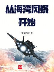 从海湾风暴开始无错