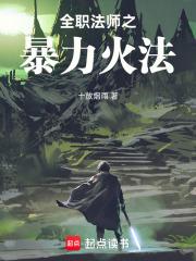 全职法师之暴力法师