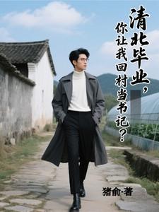 你让我回村当书记动漫