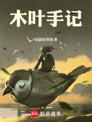 木叶手记文博中文